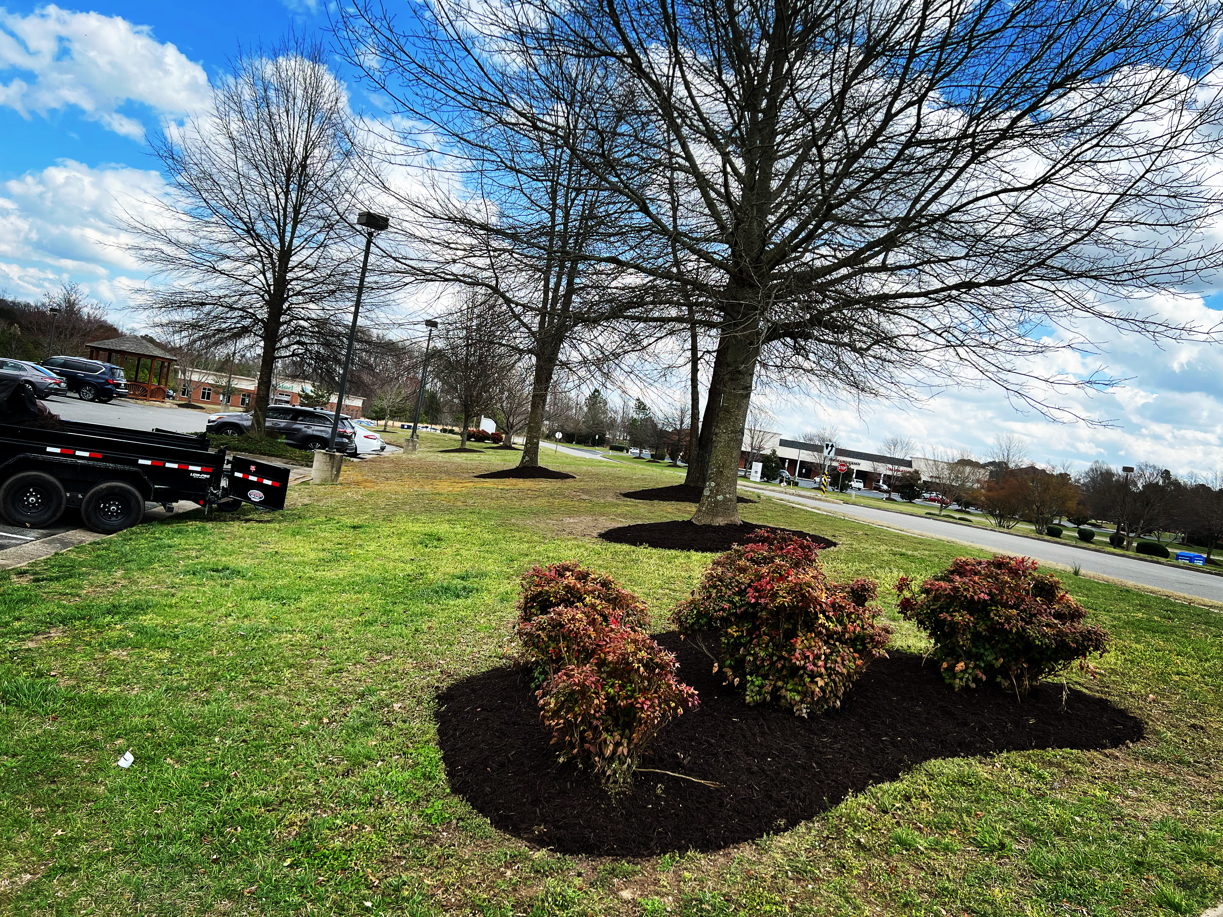Mulch Installment